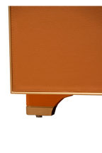 Gibson Aurelia